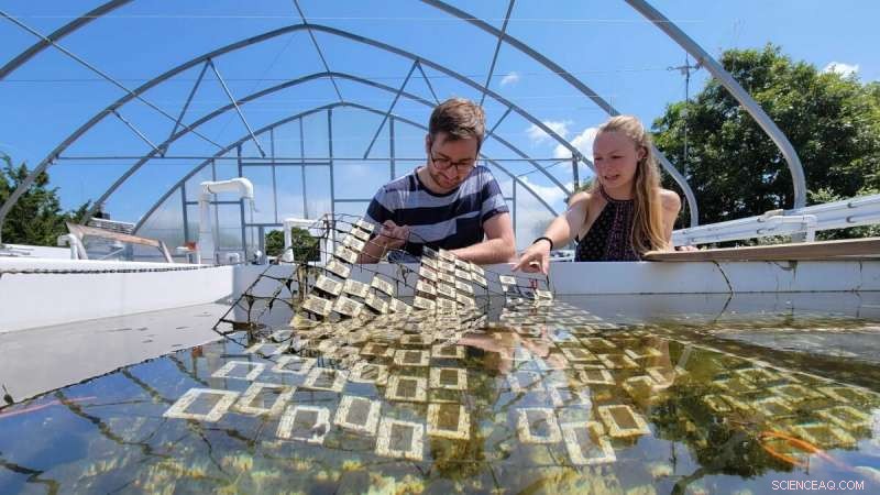 Sunlight Accelerates Marine Plastic Degradation into Thousands of Chemicals