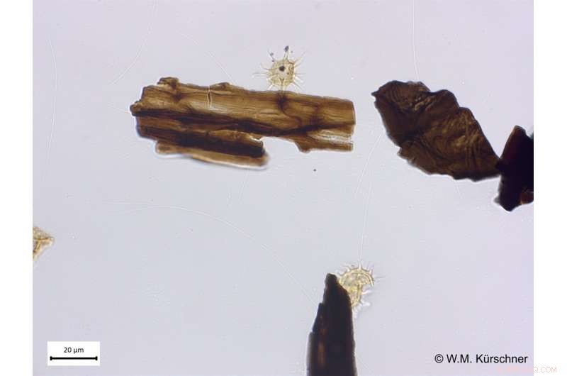 Lethal Volcanic CO₂ Venting: A Key Driver of Earth s Mass Extinction