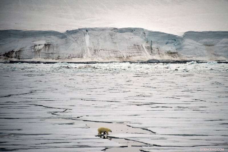 Rising Threats at the North Pole: Climate Change in Action