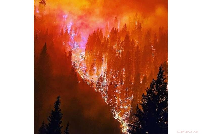 Using Past Wildfire Data to Predict and Mitigate Future Fires in the Western U.S.