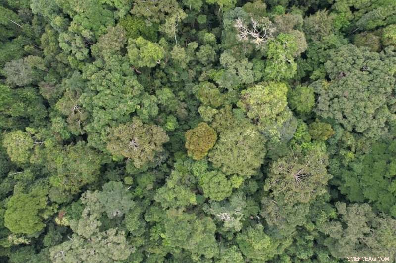 Nearby Forest Loss Signals Future Deforestation Threats to Protected Areas