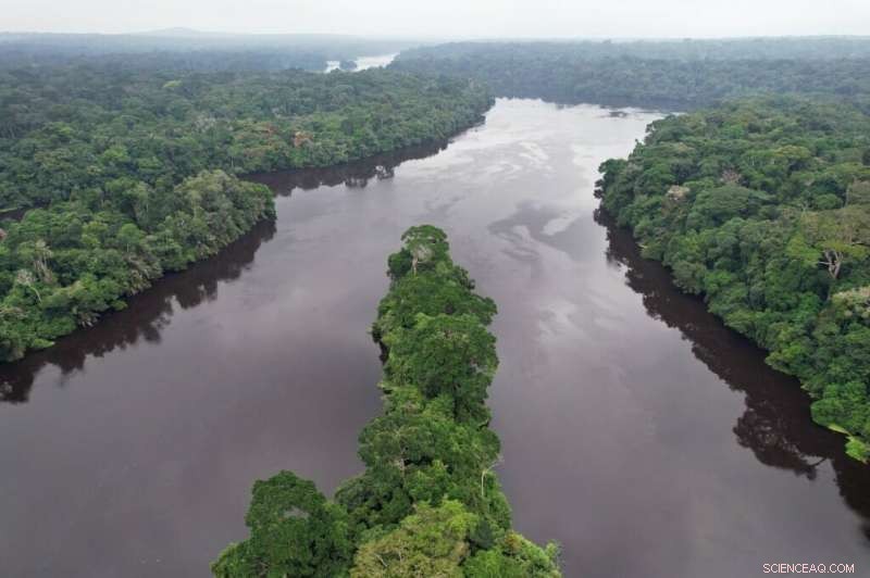 Nearby Forest Loss Signals Future Deforestation Threats to Protected Areas