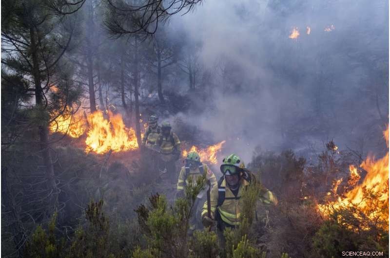 Southern Spain Firefighters Battle Complex Wildfire on Fifth Day