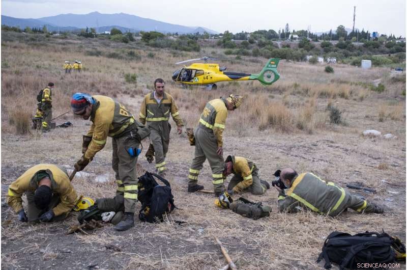 Southern Spain Firefighters Battle Complex Wildfire on Fifth Day