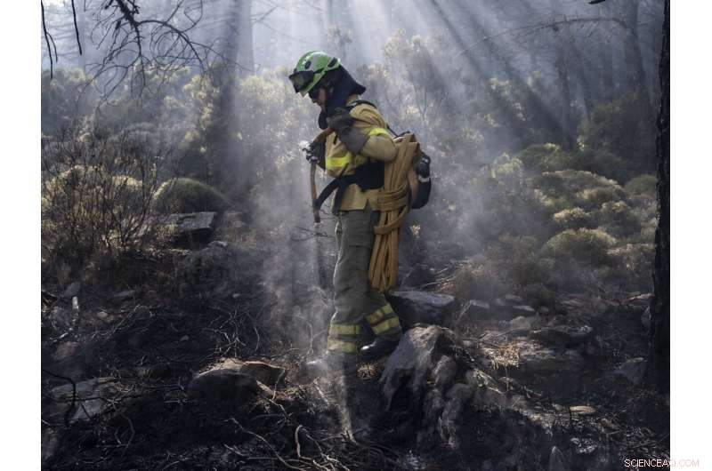 Southern Spain Firefighters Battle Complex Wildfire on Fifth Day