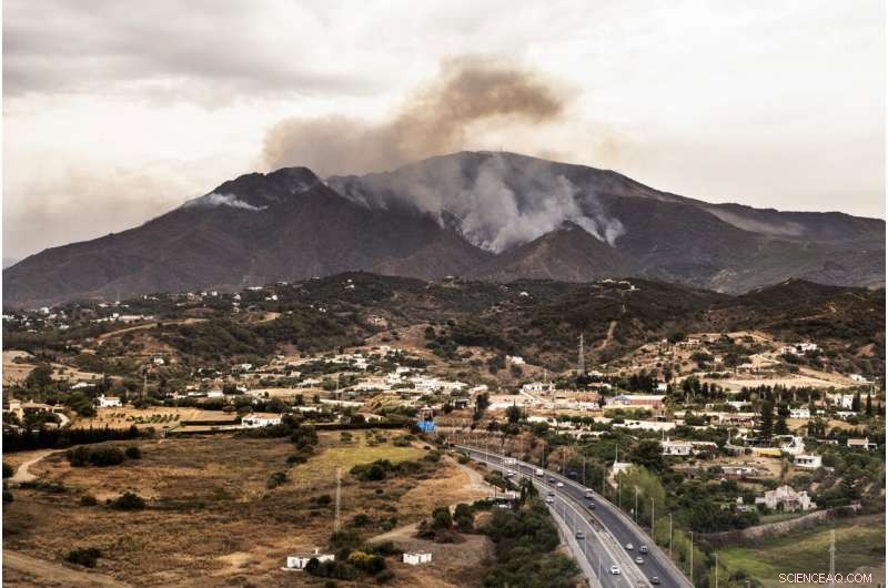 Southern Spain Firefighters Battle Complex Wildfire on Fifth Day