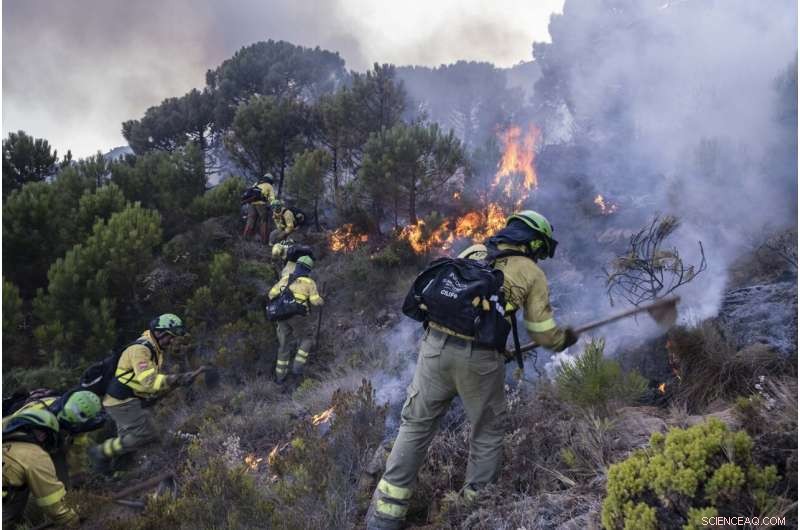Southern Spain Firefighters Battle Complex Wildfire on Fifth Day