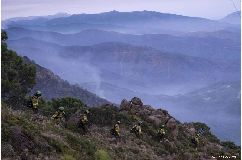 Southern Spain Firefighters Battle Complex Wildfire on Fifth Day