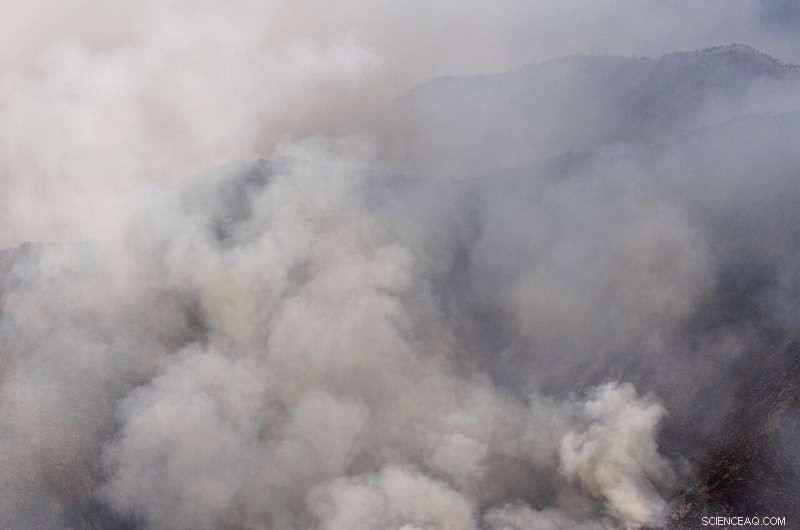 Southern Spain Firefighters Battle Complex Wildfire on Fifth Day
