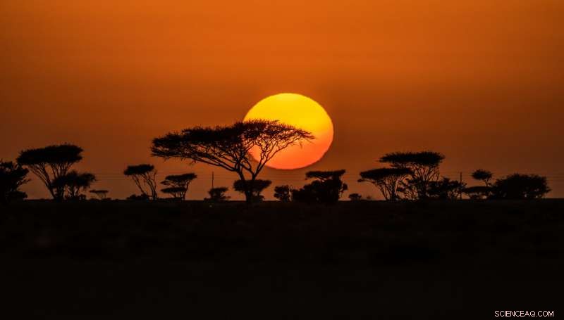 Heatwave Model Reveals Rising Frequency and Reach Across Europe