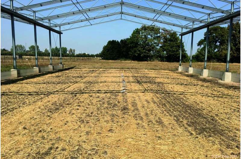 Soil Microbes Degrade Biobased Plastics, Challenging Climate Change