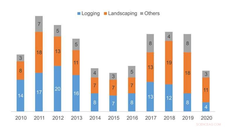 Tree Felling: The Most Hazardous Job for Loggers and Landscapers