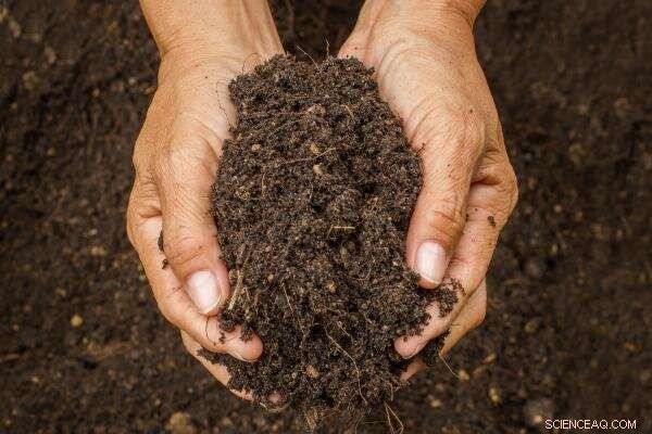Developing a Climate‑Smart Framework for Sustainable Agricultural Soil Management