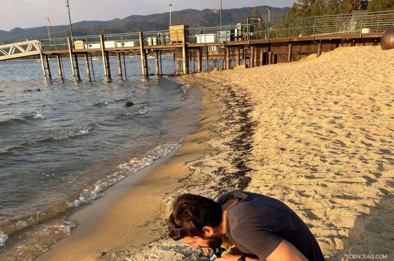 Lake Tahoe’s Clear Waters at Risk: Wildfires Threaten Environmental Future