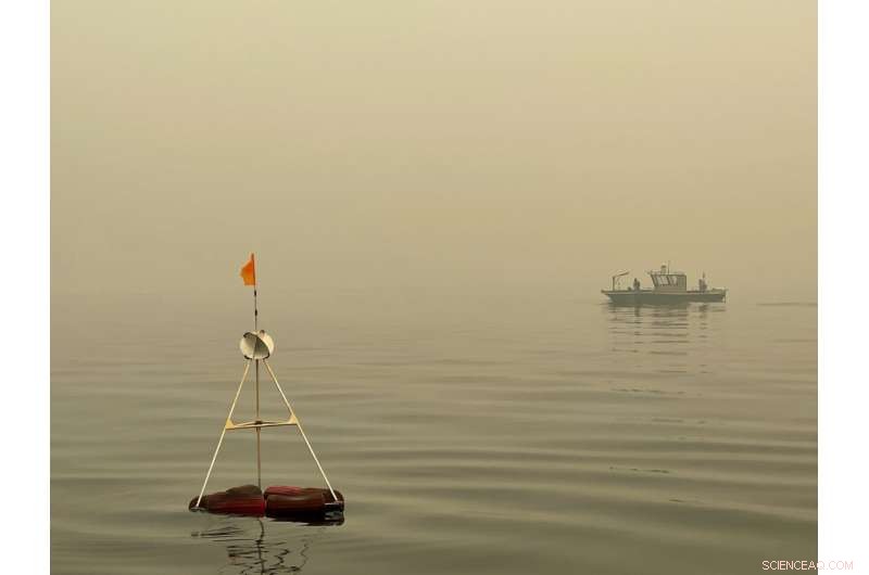 Lake Tahoe’s Clear Waters at Risk: Wildfires Threaten Environmental Future