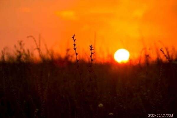 Advanced Forecast Models Aim to Reduce Heat‑Related Deaths