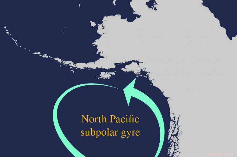 Gulf of Alaska Natural Cycles Amplify Ocean Acidification