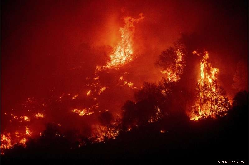 Sequoia National Park Giant Trees Threatened by Escalating Fires
