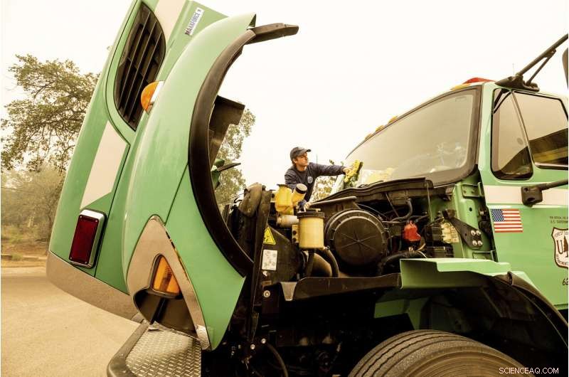Sequoia National Park Giant Trees Threatened by Escalating Fires