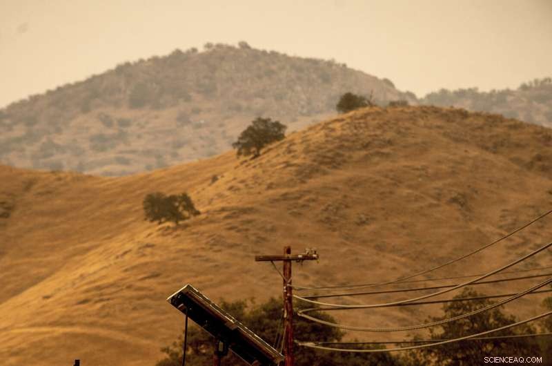 Sequoia National Park Giant Trees Threatened by Escalating Fires