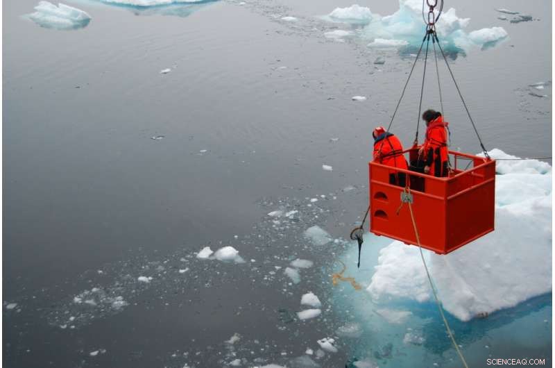 Assessing Climate Change Impacts on Global Ocean Algae