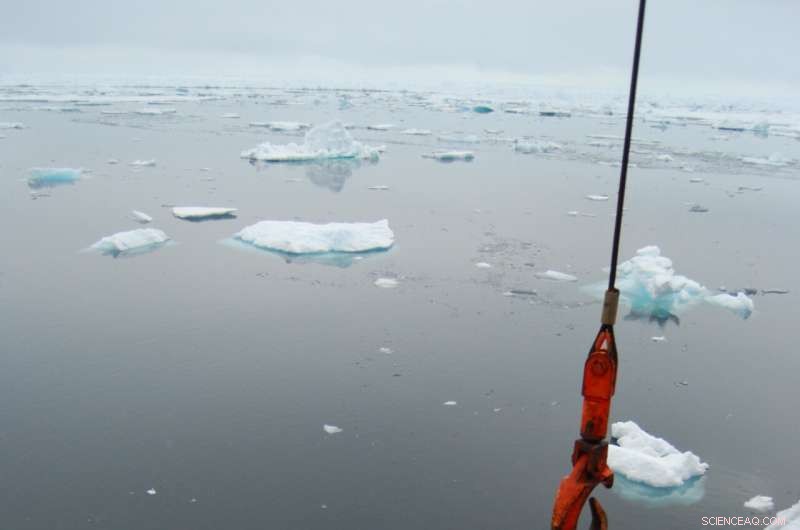 Assessing Climate Change Impacts on Global Ocean Algae