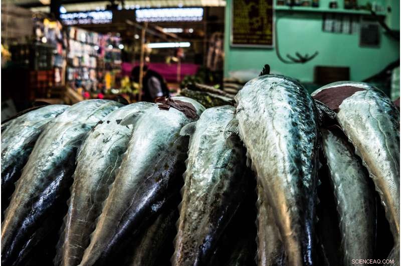 Boosting Global Health: The Critical Role of Diverse Aquatic Foods