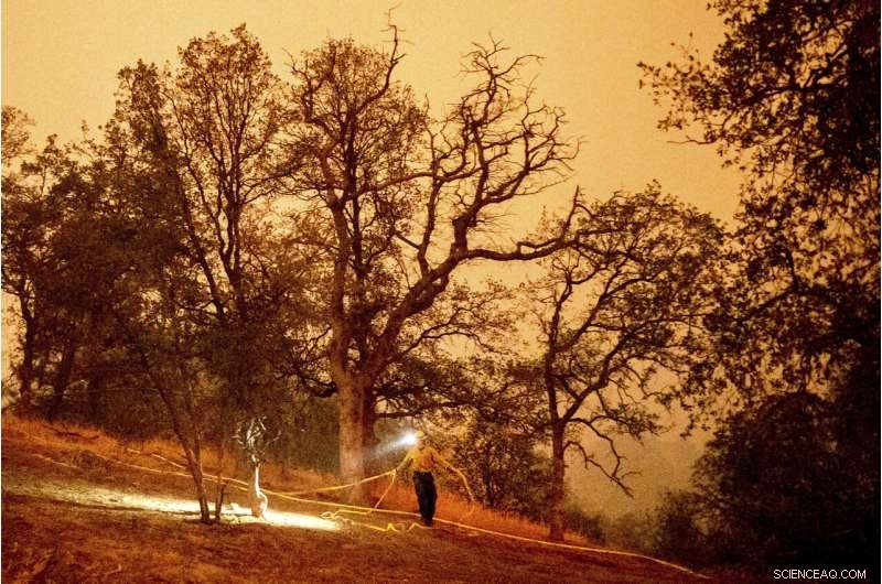 California Wildfires Threaten Iconic Giant Sequoia Trees