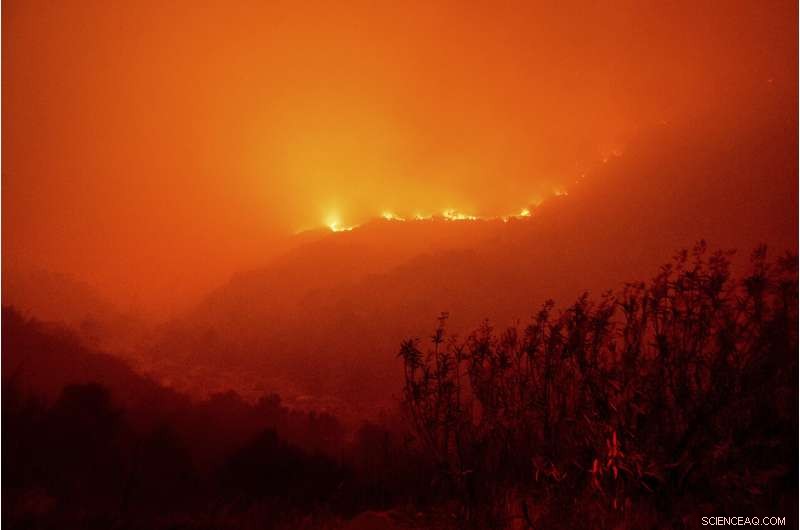 California Wildfires Threaten Iconic Giant Sequoia Trees