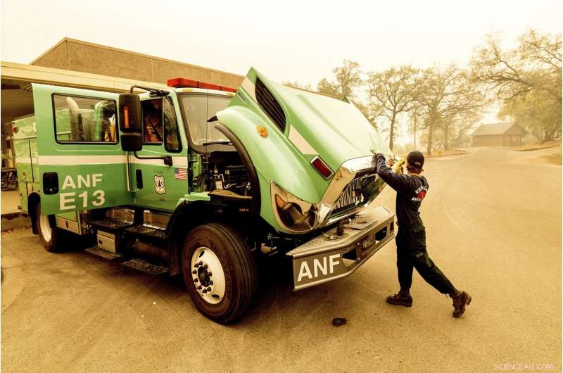 California Wildfires Threaten Iconic Giant Sequoia Trees