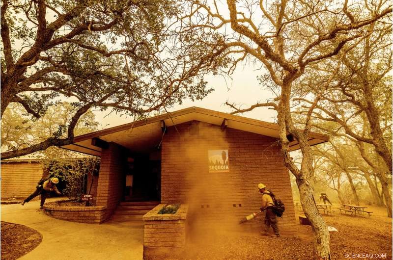 California Wildfires Threaten Iconic Giant Sequoia Trees