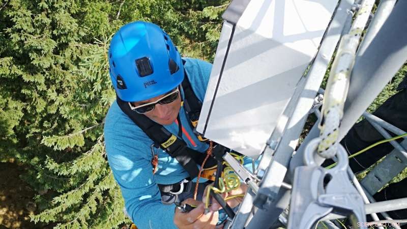 Decades of Climate Data Reveal Long-Term Change Patterns