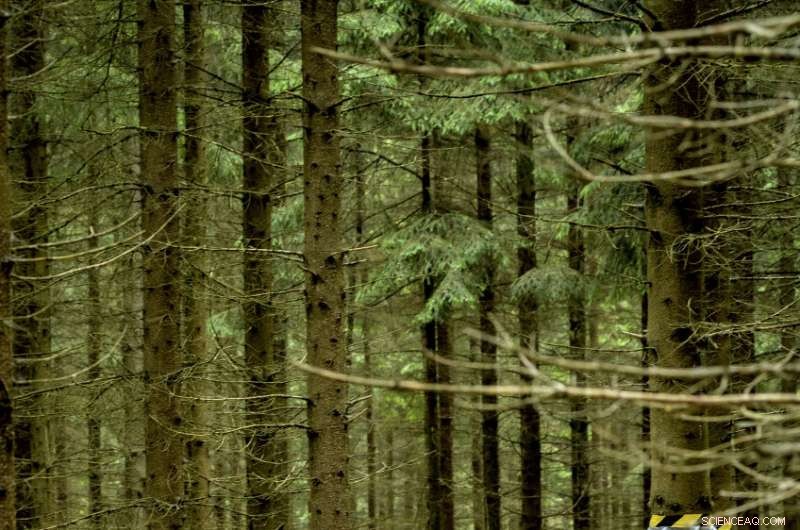 Decades of Climate Data Reveal Long-Term Change Patterns