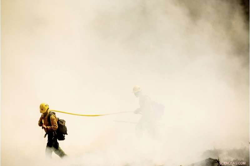 Four Iconic Sequoia Trees Survive Recent Wildfire