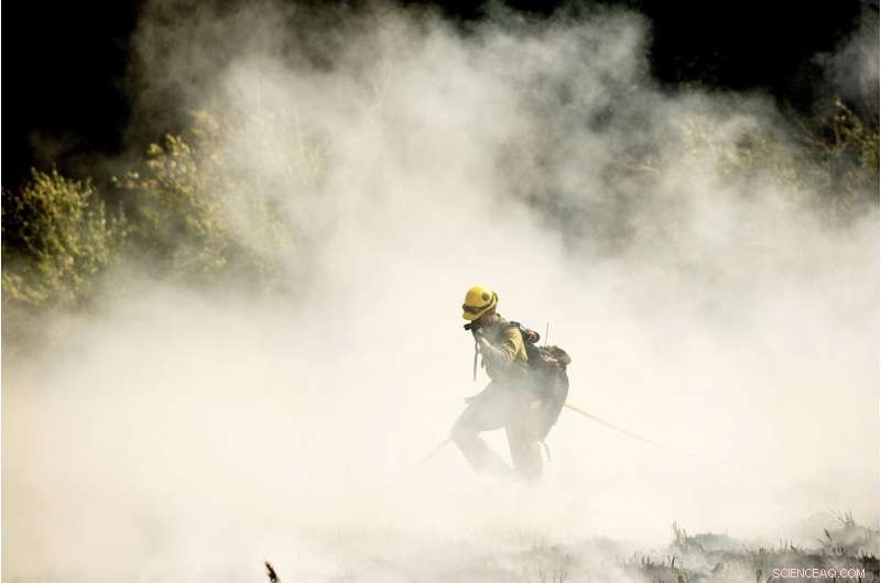 Four Iconic Sequoia Trees Survive Recent Wildfire