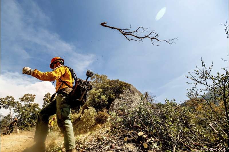Sequoia National Park Wildfires Threaten Giant Sequoia Groves