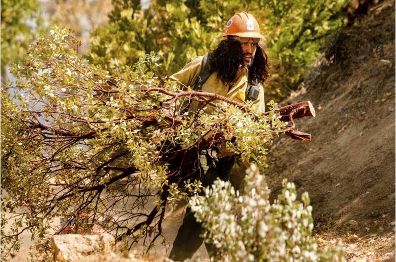 Sequoia National Park Wildfires Threaten Giant Sequoia Groves