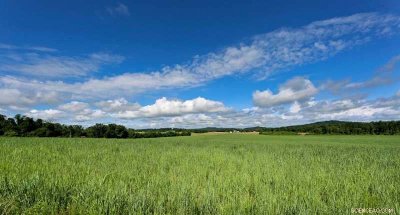 Driving Agricultural Decarbonization: Innovative Pathways to Reduce Emissions