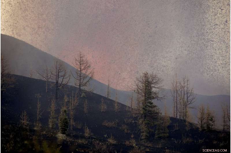 No Injuries Reported as Spanish Volcano Eruption Causes Significant Damage