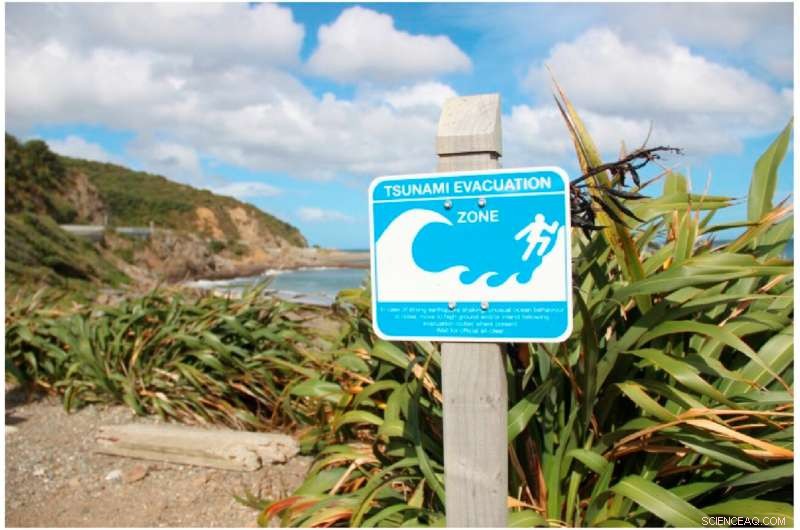 2015 Kaikoura Survey Reveals Critical Gaps in New Zealanders  Tsunami Preparedness