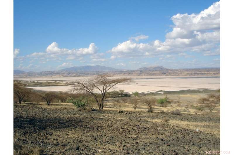 Lake Magadi Records Reveal How Earth s Orbital Changes Drive Environmental Variability in Kenya