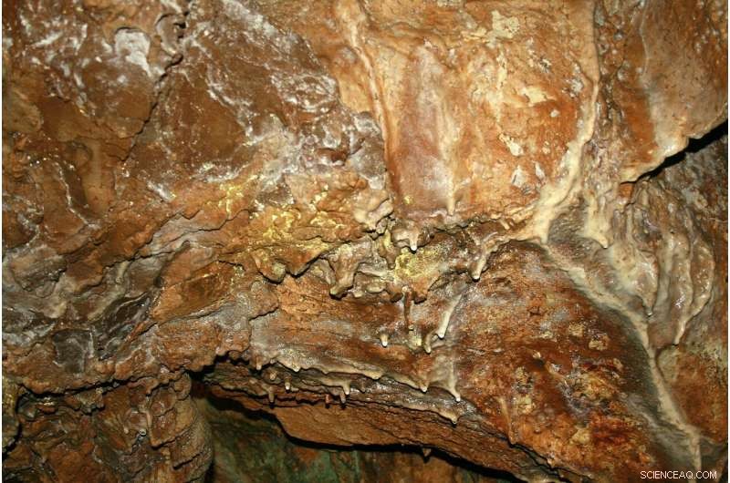 Earth s Lava Tubes: A Key to Unlocking Life Beyond Our Planet