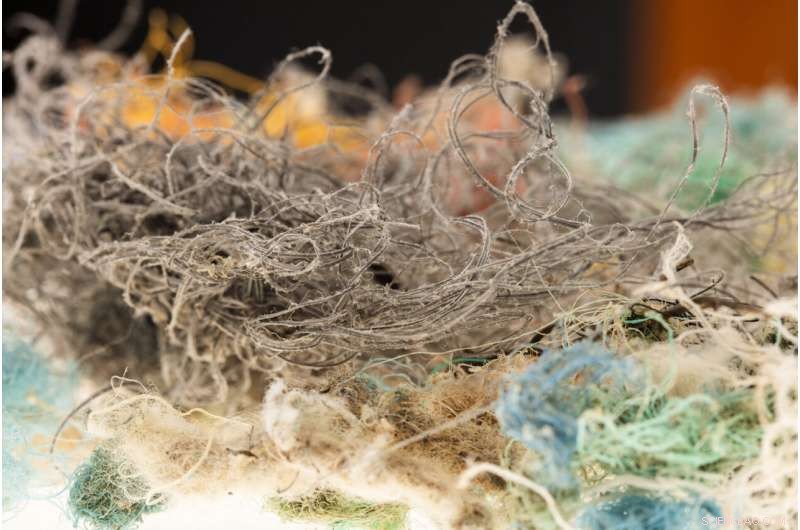 Maritime Ropes May Release Billions of Microplastics into the Ocean Annually