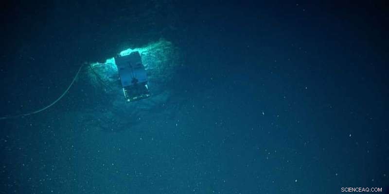 Understanding the Ocean’s Biological Carbon Pump: How Marine Snow Sequesters CO₂