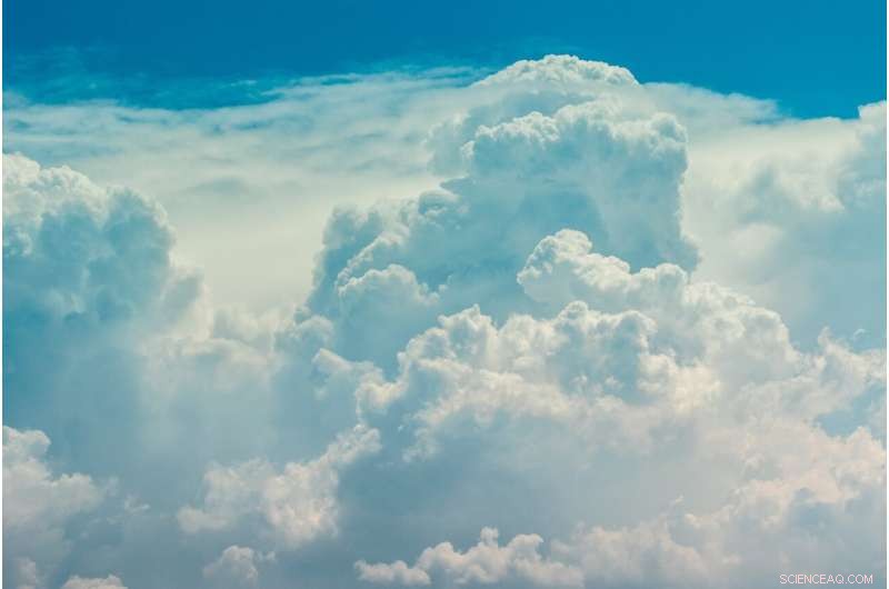 New Study Shows Plant-Derived Aerosols Brighten Clouds, Enhancing Earth’s Cooling