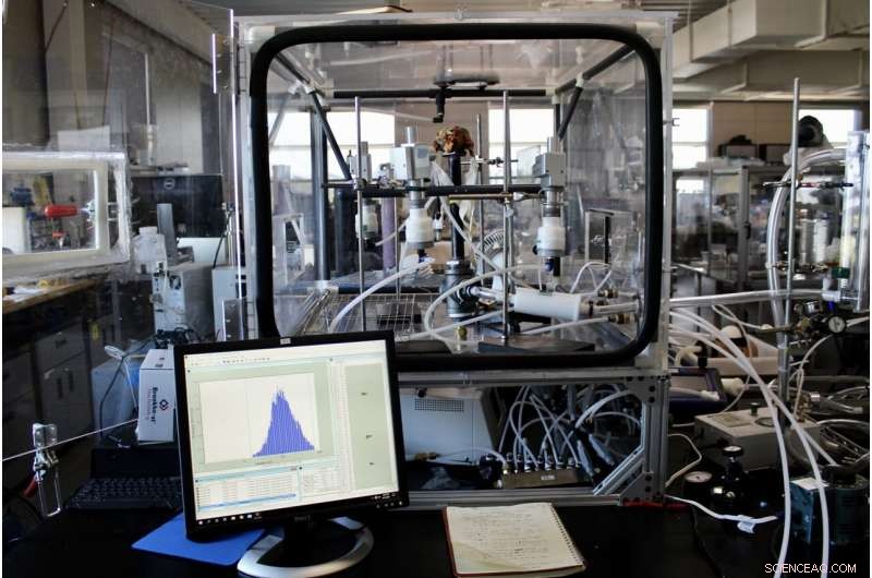 N95 Respirators Provide Strong Protection Against Wildfire Smoke: New Study