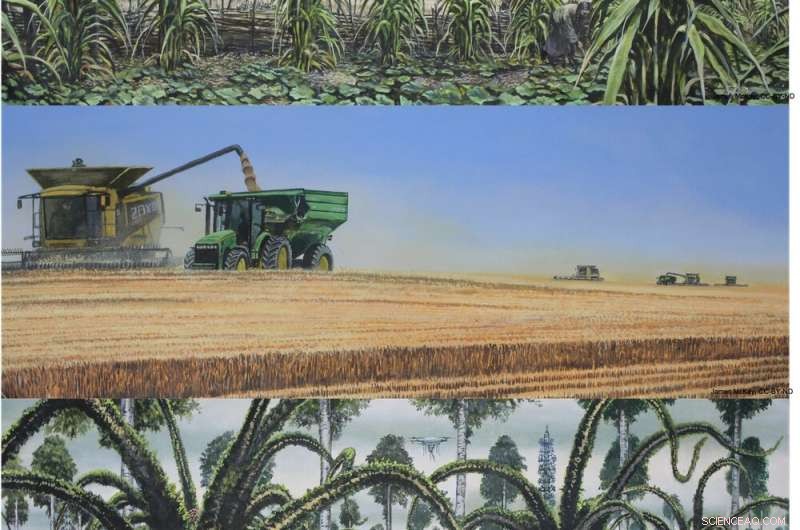 Projected 2500 Climate Forecasts Reveal an Earth Unfamiliar to Us