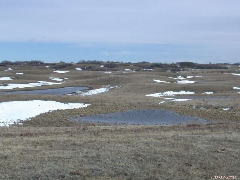 Could Prairie Depressions Unlock Groundwater Recharge in Canada?
