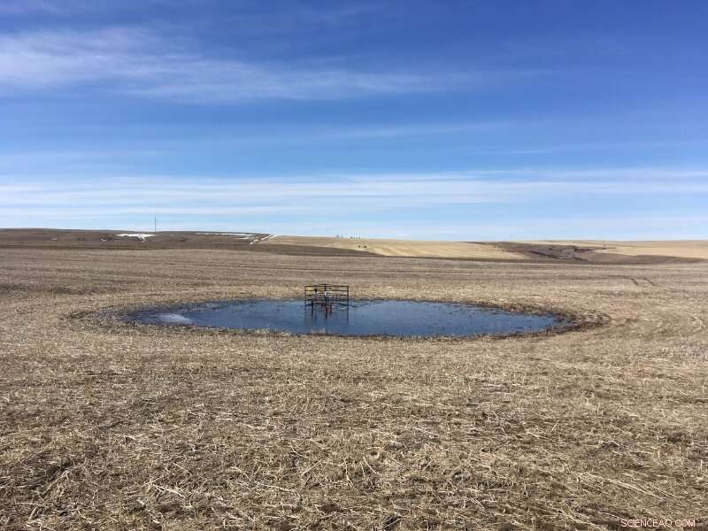 Could Prairie Depressions Unlock Groundwater Recharge in Canada?