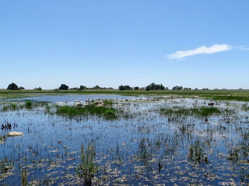 Could Prairie Depressions Unlock Groundwater Recharge in Canada?